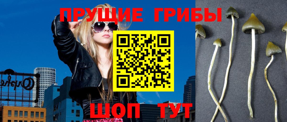 Псилоцибиновые грибы ЛСД Снежинск