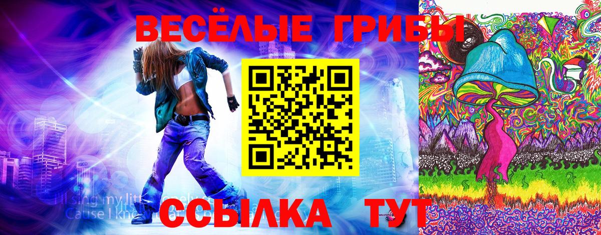 Снежинск  Псилоцибиновые грибы прущие грибы  Вход с VPN 